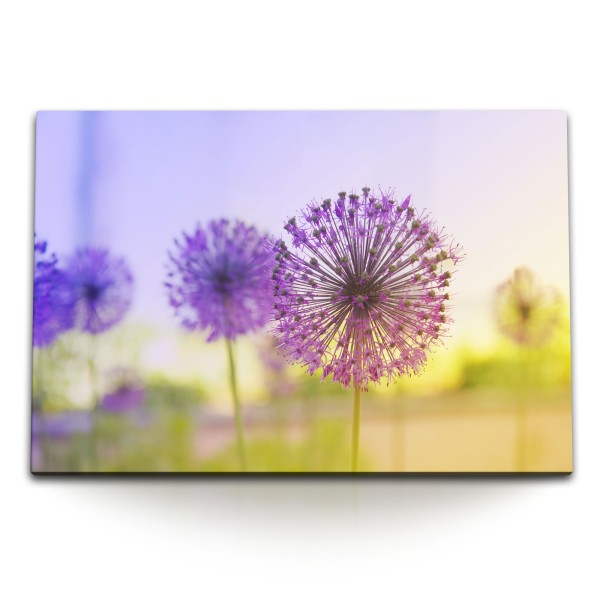 Paul Sinus Art 120x80cm Wandbild auf Leinwand Pusteblume Sonnenuntergang Sommer Blumen Violett