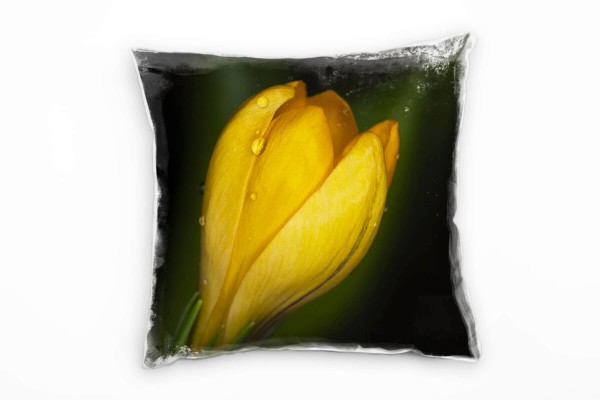 Paul Sinus Art Blumen, Krokus, Wassertropfen, gelb, grün Deko Kissen 40x40cm für Couch Sofa Lounge Zierkissen