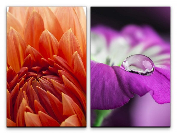 Paul Sinus Art 2 Bilder je 60x90cm Dahlie rote Blüte Violett Wassertropfen Blumen Sommer Makrofotografie