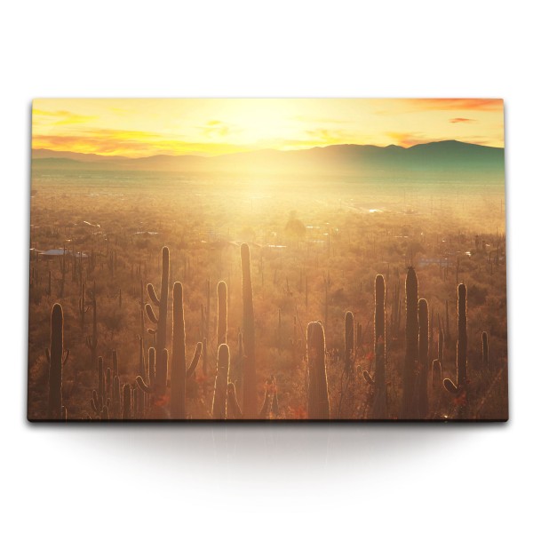 Paul Sinus Art 120x80cm Wandbild auf Leinwand Mexiko Kakteen Sonnenschein Berge Abendrot