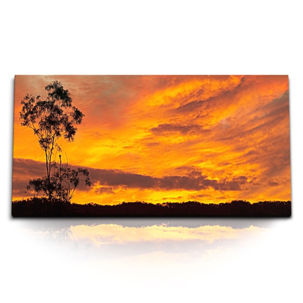 Paul Sinus Art Kunstdruck Bilder 120x60cm Roter Himmel Sonnenuntergang Abendrot Baum Natur