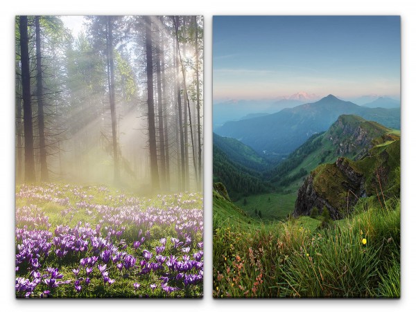 Paul Sinus Art 2 Bilder je 60x90cm Waldblumen Wald Bäume Berglandschaft Berge Alpen Lichtstrahlen