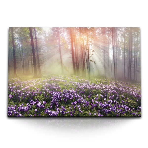 Paul Sinus Art 120x80cm Wandbild auf Leinwand Wald Waldblumen Sonnenstrahl strahl Natur