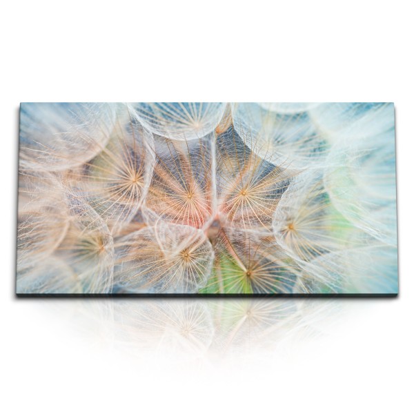 Paul Sinus Art Kunstdruck Bilder 120x60cm Pusteblume Makrofotografie Hellblau Dekorativ