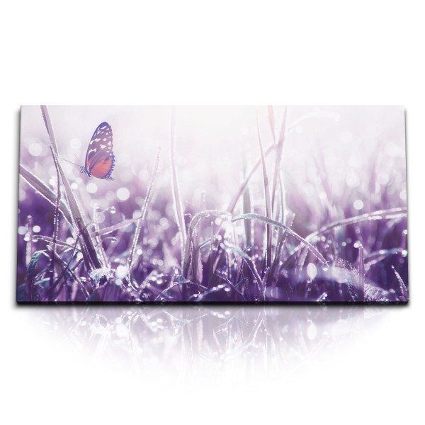 Paul Sinus Art Kunstdruck Bilder 120x60cm Wiese Morgentau Schmetterling Natur Fotokunst