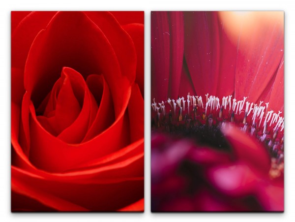 Paul Sinus Art 2 Bilder je 60x90cm Rose Rot Blüten Blumen Romantisch Dekorativ Makrofotografie