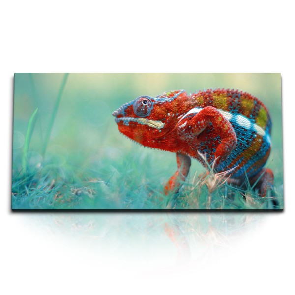 Paul Sinus Art Kunstdruck Bilder 120x60cm Chamäleons Bunt Rot Tierfotografie Reptil Grün