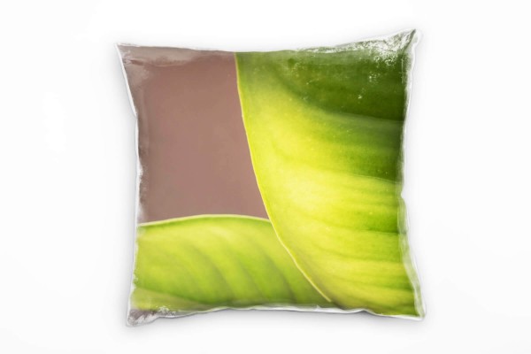 Paul Sinus Art Macro, Natur, Blatt, grün, grau Deko Kissen 40x40cm für Couch Sofa Lounge Zierkissen