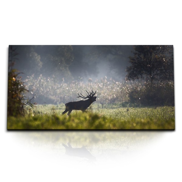 Paul Sinus Art Kunstdruck Bilder 120x60cm Wald Natur Hirsch Tierfotografie Hirschbulle