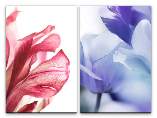 Paul Sinus Art 2 Bilder je 60x90cm Orchidee Tulpen Blau Rot Blüten Sommer Makrofotografie