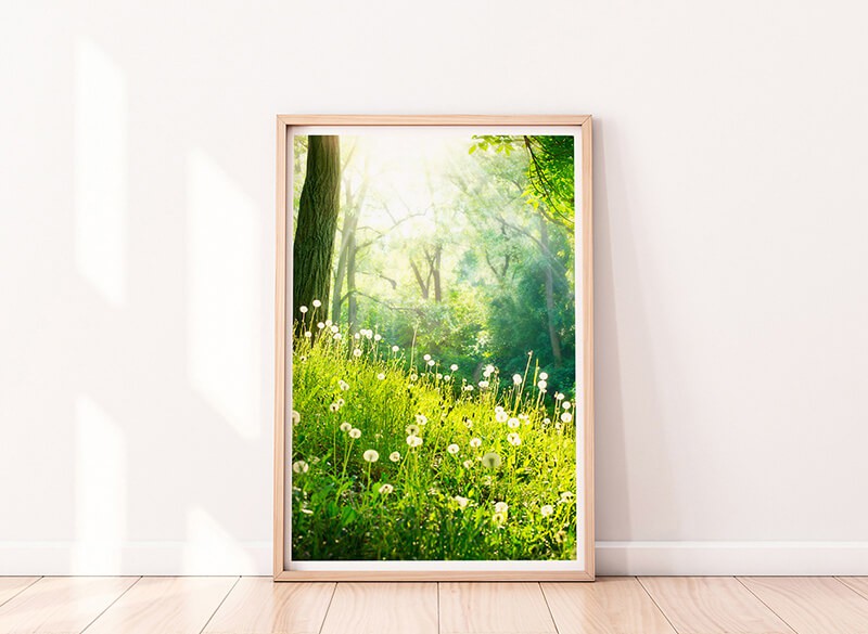 Paul Sinus Art 90x60cm Poster Naturfotografie Frühlingswiese mit Pusteblumen