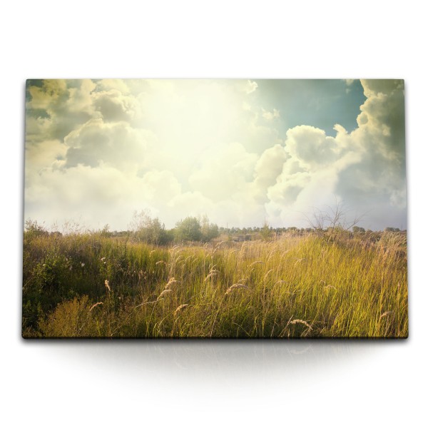 Paul Sinus Art 120x80cm Wandbild auf Leinwand Sommerwiese Wildwiese Natur Sonnenschein Wolken