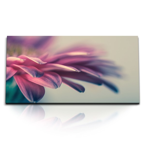 Paul Sinus Art Kunstdruck Bilder 120x60cm Gerbera Blume Pink Makrofotografie Blüte