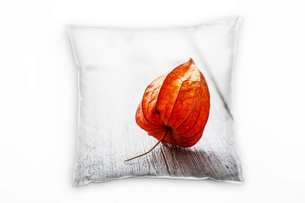 Paul Sinus Art Macro, orange, rot, braun, Physalis auf Holz Deko Kissen 40x40cm für Couch Sofa Lounge Zierkissen