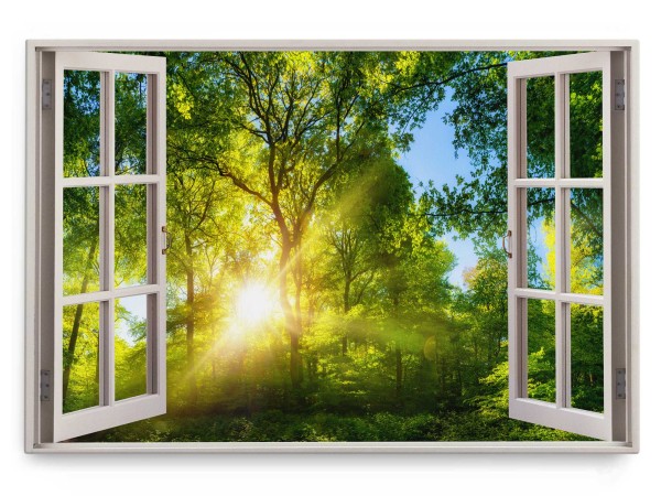 Paul Sinus Art Wandbild 120x80cm Fensterbild Sonnenstrahl Baumkronen Sonnenuntergang Natur Bäume