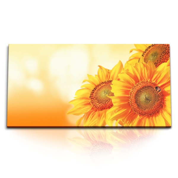 Paul Sinus Art Kunstdruck Bilder 120x60cm Sonnenblumen Sonnenschein Gelb Blumen Biene