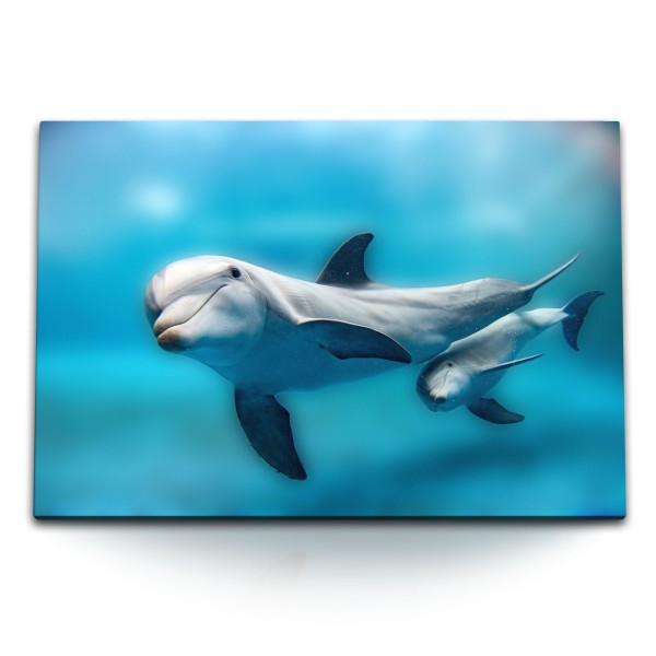 Paul Sinus Art 120x80cm Wandbild auf Leinwand Delfine Babydelfin Blau Hellblau unter Wasser