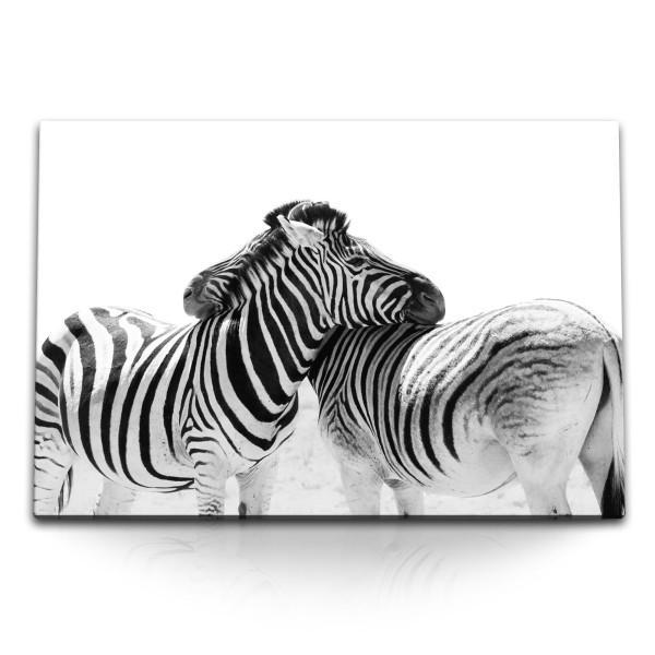 Paul Sinus Art 120x80cm Wandbild auf Leinwand Zebras Tierfotografie Schwarz Weiß Afrika