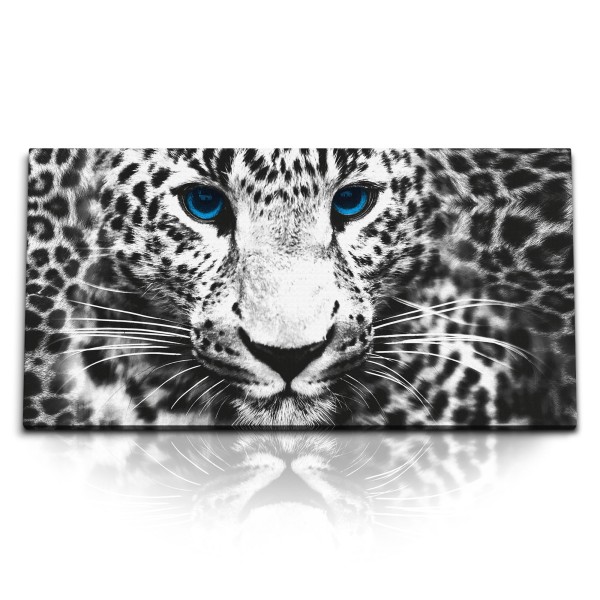 Paul Sinus Art Kunstdruck Bilder 120x60cm Leopard Raubkatze blaue Augen Fotokunst