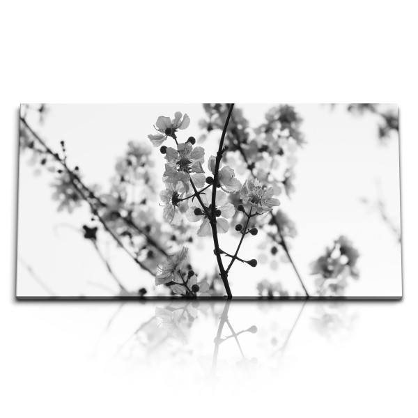 Paul Sinus Art Kunstdruck Bilder 120x60cm Schwarz Weiß Fotografie Baumblüten Frühling