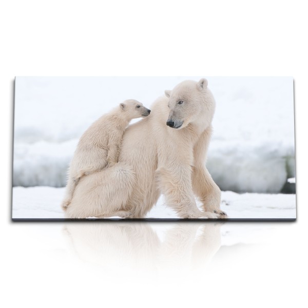 Paul Sinus Art Kunstdruck Bilder 120x60cm Eisbär Mama mit Kind Tierfotografie Schnee Wildnis