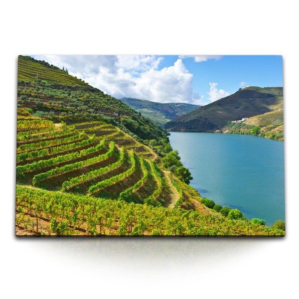 Paul Sinus Art 120x80cm Wandbild auf Leinwand Douro Fluss Weinberge Portugal Weinanbau Natur