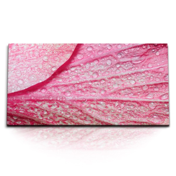 Paul Sinus Art Kunstdruck Bilder 120x60cm Makro Blüte Blume Wassertropfen Rosa Nahaufnahme