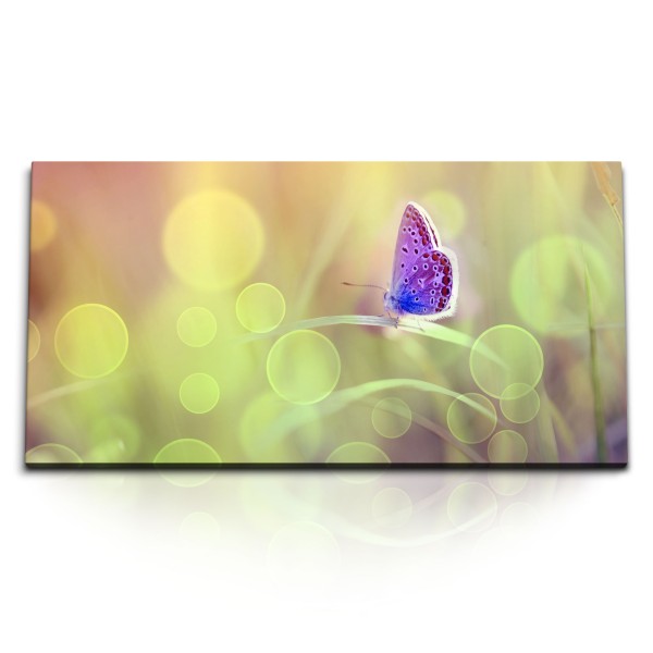 Paul Sinus Art Kunstdruck Bilder 120x60cm Schmetterling Frühling Natur strahlen Fotokunst