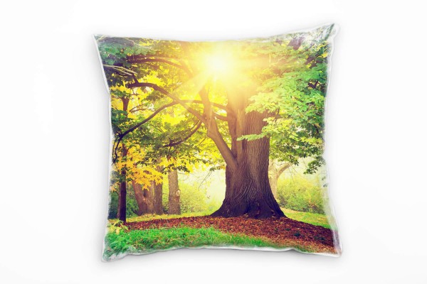 Paul Sinus Art Natur, Landschaften, gelb, Bäume Wiese, Laub Deko Kissen 40x40cm für Couch Sofa Lounge Zierkissen