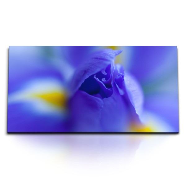 Paul Sinus Art Kunstdruck Bilder 120x60cm Blaue Blume Blüte Makrofotografie Fotokunst