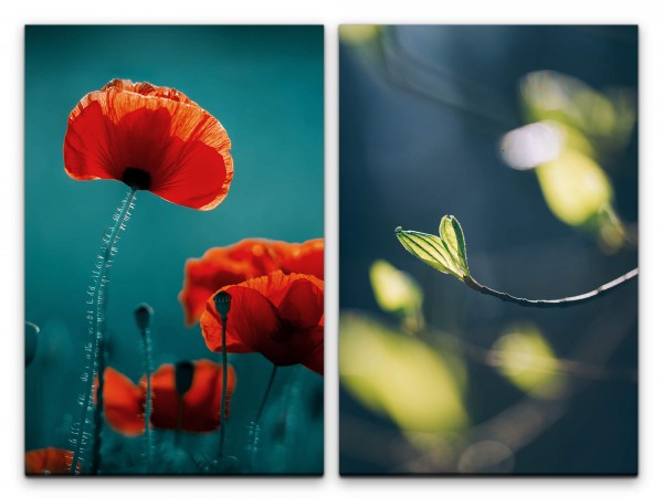 2 Bilder je 60x90cm Mohnblume rote Blüte Zweig Natur Entspannend Dekorativ Beruhigend