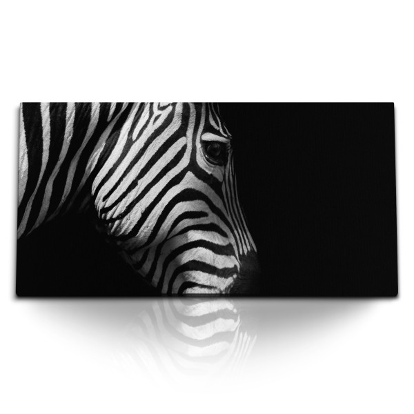 Paul Sinus Art Kunstdruck Bilder 120x60cm Tierfotografie Zebra Schwarz Weiß Kunstvoll