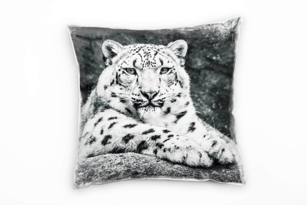 Paul Sinus Art Tiere, Leopard, grau Deko Kissen 40x40cm für Couch Sofa Lounge Zierkissen