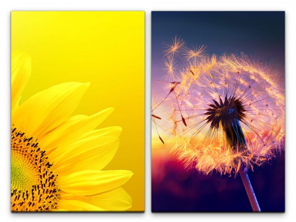 Paul Sinus Art 2 Bilder je 60x90cm Sonnenblume Gelb Sommer Abenddämmerung Pusteblume Löwenzahn Makro