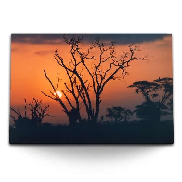 Paul Sinus Art 120x80cm Wandbild auf Leinwand Afrikanische Landschaft Sonnenuntergang Bäume Afrika