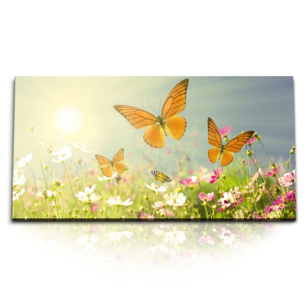 Paul Sinus Art Kunstdruck Bilder 120x60cm Sommerwiese Blumenwiese Schmetterlinge Sonnenschein