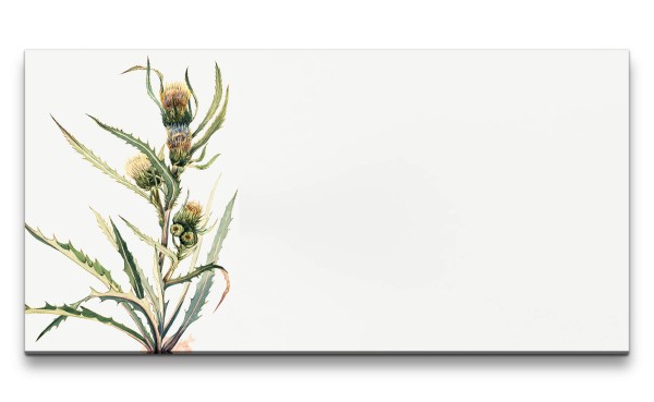 Paul Sinus Art Remaster 120x60cm Botanische Vintage Illustration weiße Distel Minimalistisch Dekorativ