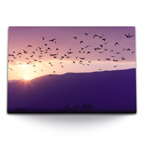 Paul Sinus Art 120x80cm Wandbild auf Leinwand Vögel Vogelschwarm Berge Sonnenuntergang Himmel