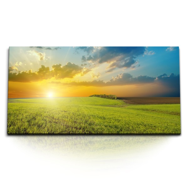 Paul Sinus Art Kunstdruck Bilder 120x60cm Weizen Weizenfeld Sonnenuntergang Natur Landschaft