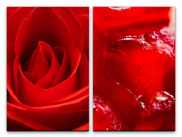 Paul Sinus Art 2 Bilder je 60x90cm Rose Blüte Rot Liebe Leidenschaft Romantisch Schlafzimmer