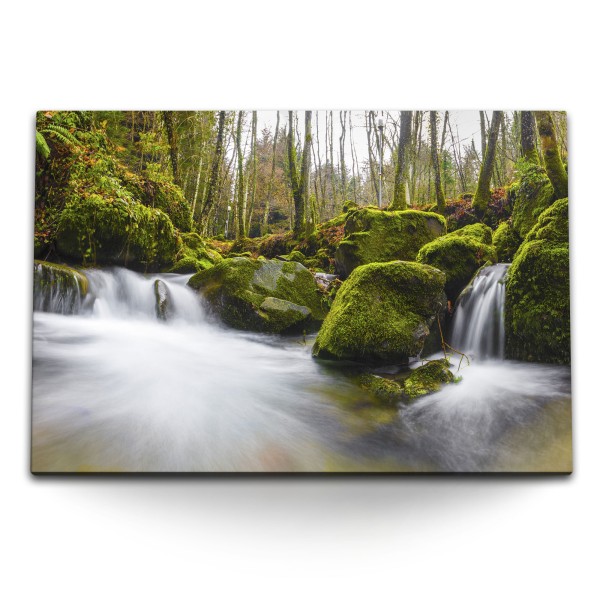 Paul Sinus Art 120x80cm Wandbild auf Leinwand Bach Wald Wasserfall Grün Moos Natur