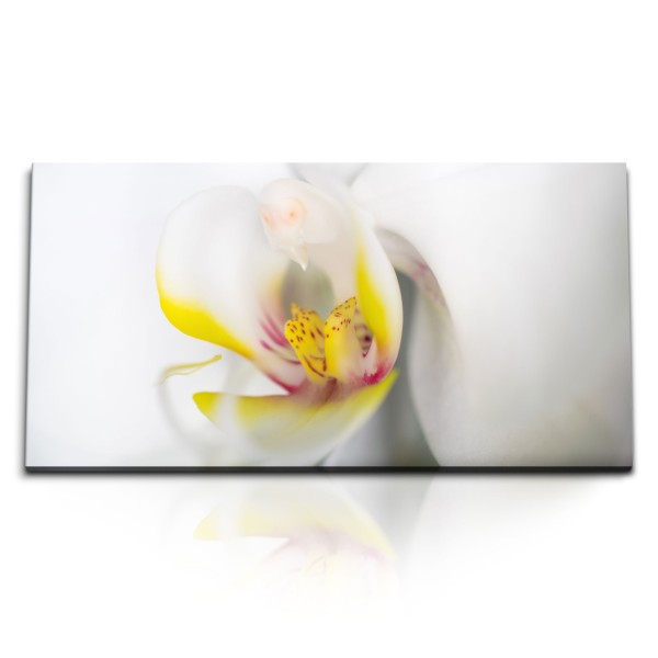 Paul Sinus Art Kunstdruck Bilder 120x60cm Nahaufnahme Orchidee Blume Blüte Weiß Gelb