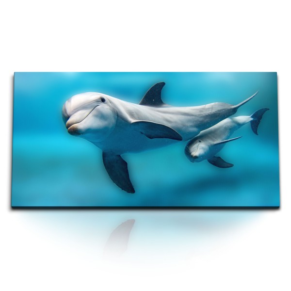 Paul Sinus Art Kunstdruck Bilder 120x60cm Delfine Babydelfin Blau Hellblau unter Wasser