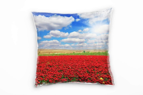 Paul Sinus Art Landschaft, rote Blumen, Wiese, Wolken, blauer Himmel Deko Kissen 40x40cm für Couch Sofa Lounge Zier