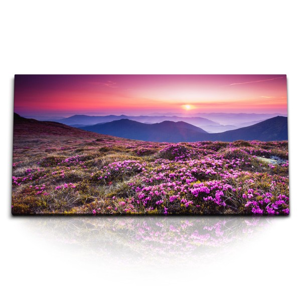 Paul Sinus Art Kunstdruck Bilder 120x60cm Berglandschaft Alpen Blumenwiese Sonnenuntergang Alpen