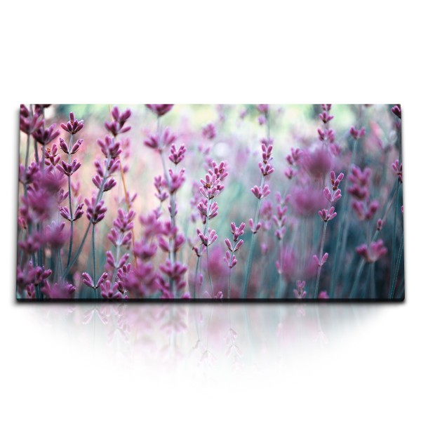 Paul Sinus Art Kunstdruck Bilder 120x60cm Rosa Lavendel Blumen Blüten Lavendelfeld