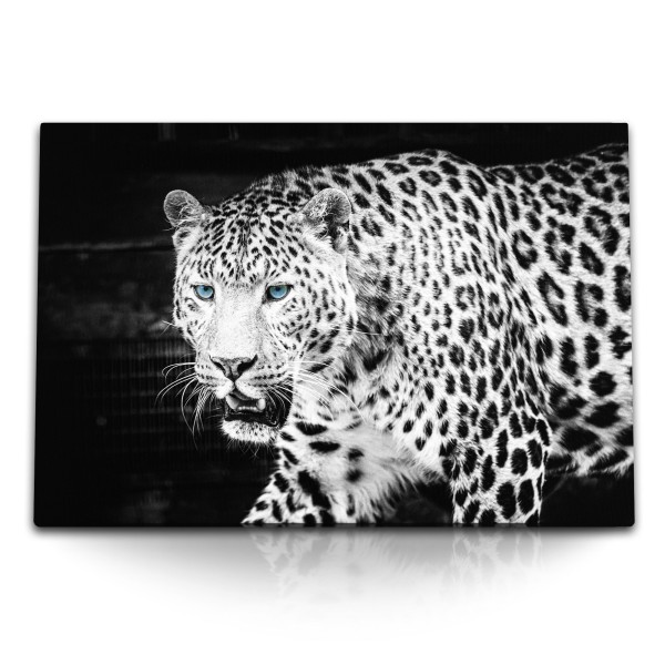 Paul Sinus Art 120x80cm Wandbild auf Leinwand Jaguar Raubtier Tierfotografie blaue Augen Leopard