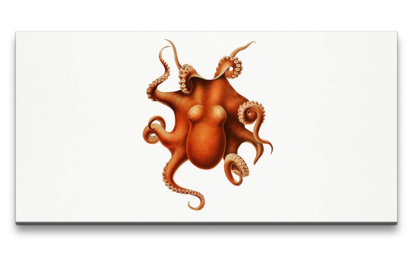 Paul Sinus Art Remaster 120x60cm Illustration Oktopus Vintage Kunstvoll Dekorativ Tiefsee