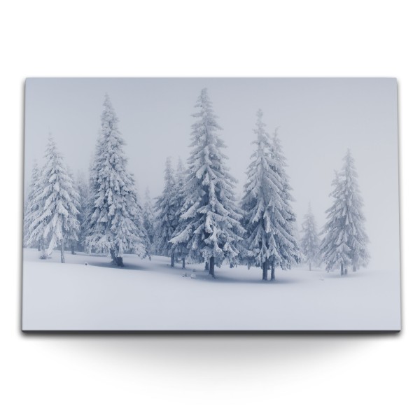 Paul Sinus Art 120x80cm Wandbild auf Leinwand Winter Schnee Tannenbäume Tannenwald Weiß