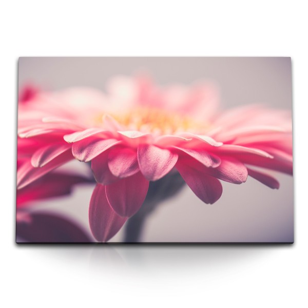 Paul Sinus Art 120x80cm Wandbild auf Leinwand Gerbera Blume Blüte Rosa Kunstvoll Nahaufnahme